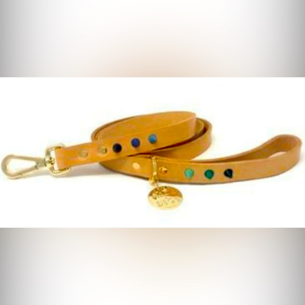 🐶 Nice Digs- Spike Leather Dog Leash w/ Velvet Bag
